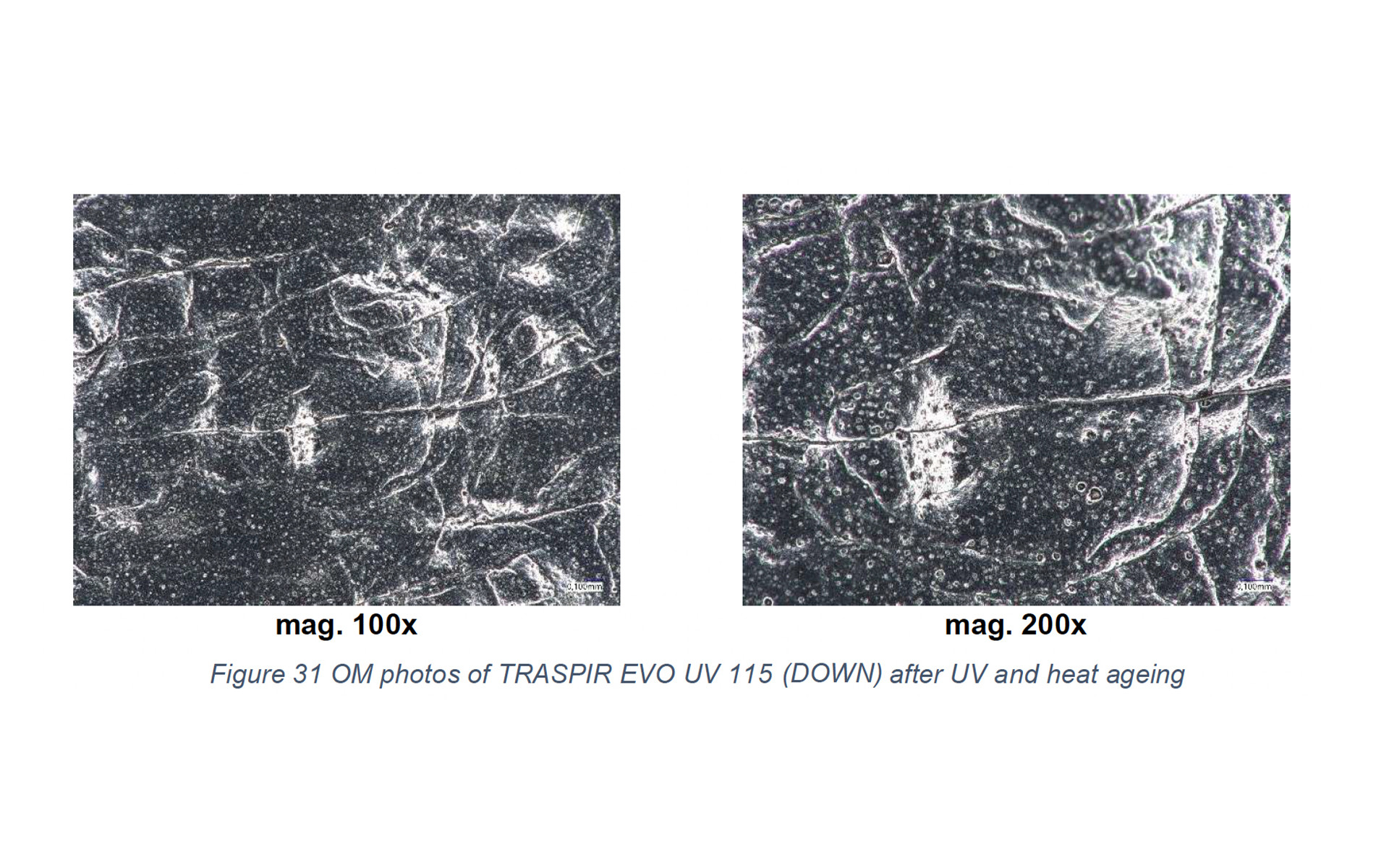 Durability of tapes and membranes 